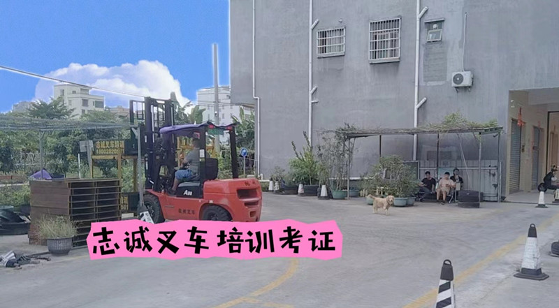 博罗罗阳哪里有学叉车 叉车培训考证多少钱  罗阳学叉车去哪里报名