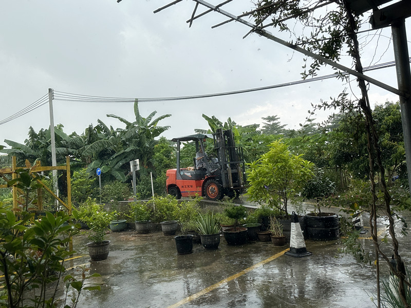 龙门永汉叉车培训要多少钱， 龙门永汉叉车培训基地哪里有