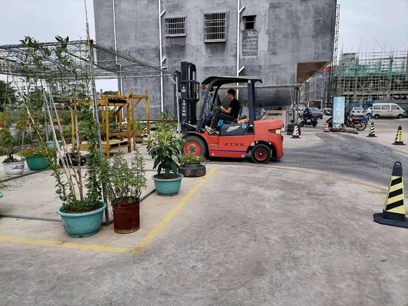 惠城小金口学叉车技术，惠城小金口学叉车需要什么资料