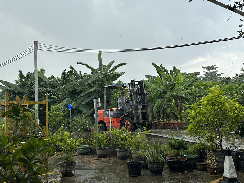 惠东白花叉车培训要多少钱， 惠东白花叉车培训基地哪里有