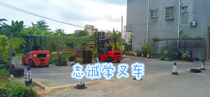 龙门龙江学叉车费用要多少钱，龙门龙江学叉车在哪里可以报名